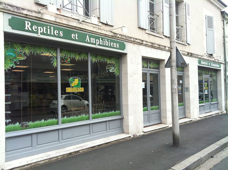 Autocollant Vitrine Snake & Co - AFIWAI DESIGN, Création de site internet, Graphisme, Vidéo à Blois
