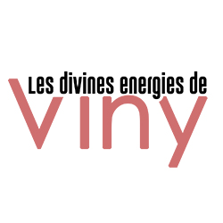 Les divines energies de Viny, client de AFIWAI DESIGN, Création de site internet, Graphisme, Vidéo à Blois