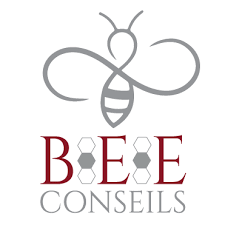BEE Conseils, client de AFIWAI DESIGN, Création de site internet, Graphisme, Vidéo à Blois
