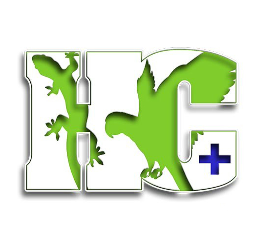 partenaire-graphiste-a-blois-identite-visuelle-afiwai partenaire Graphiste à Blois identité visuelle AFIWAI